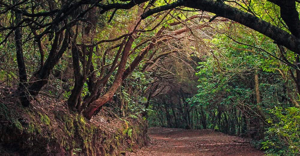  post thumbnail image