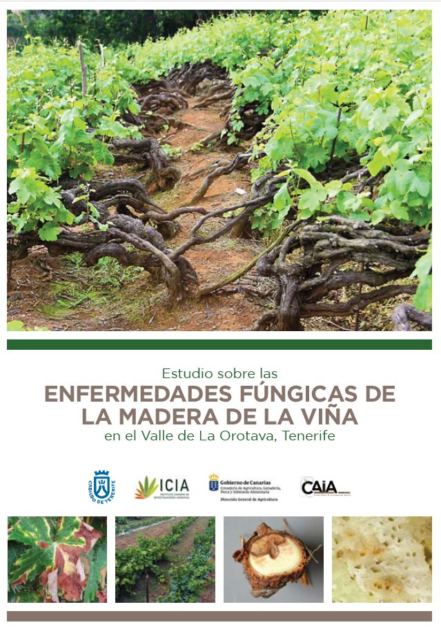  post thumbnail image