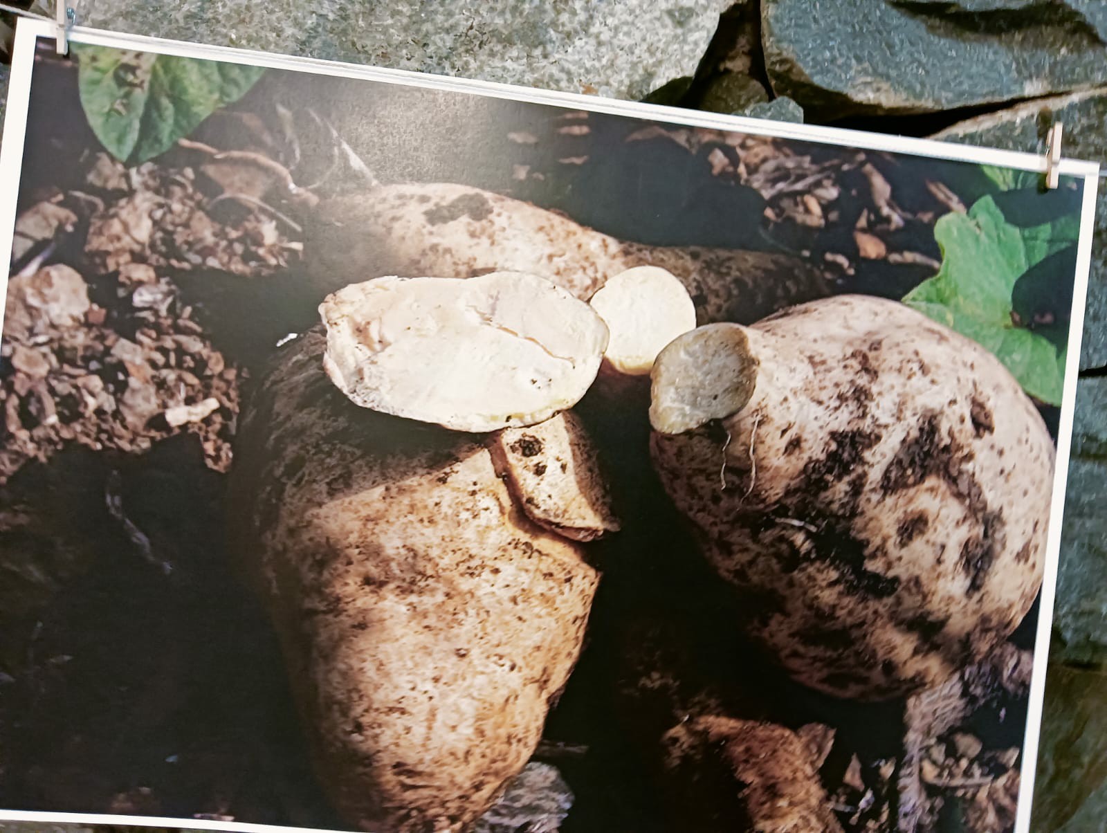  post thumbnail image