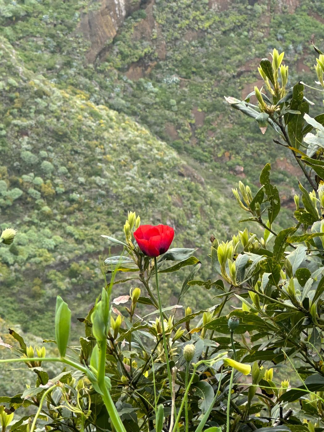  post thumbnail image