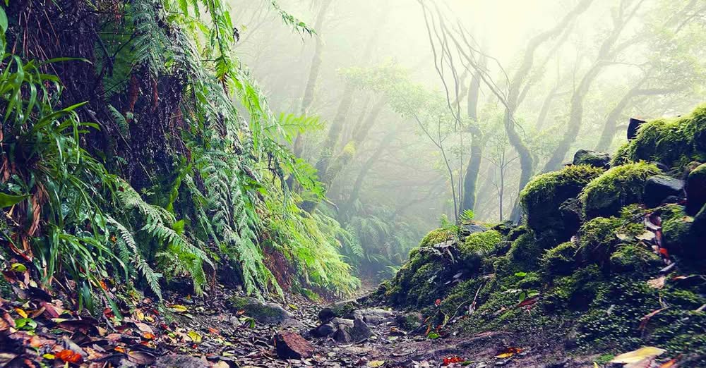  post thumbnail image