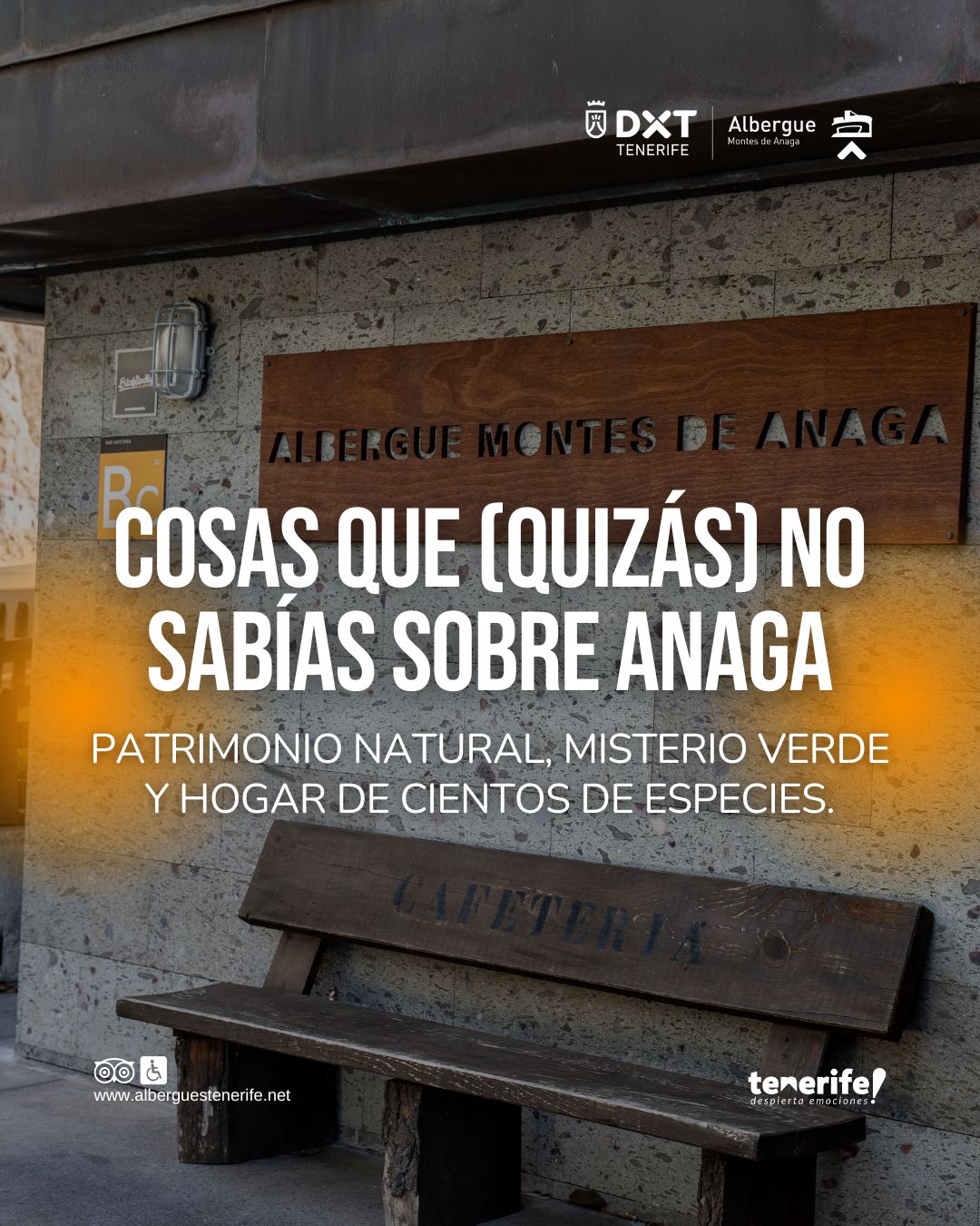  post thumbnail image