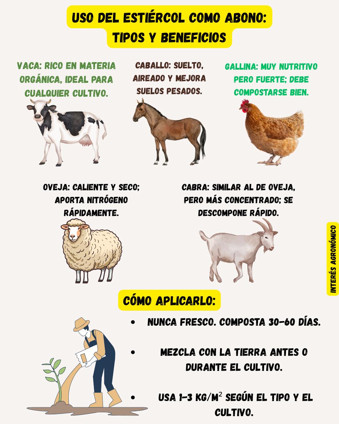  post thumbnail image