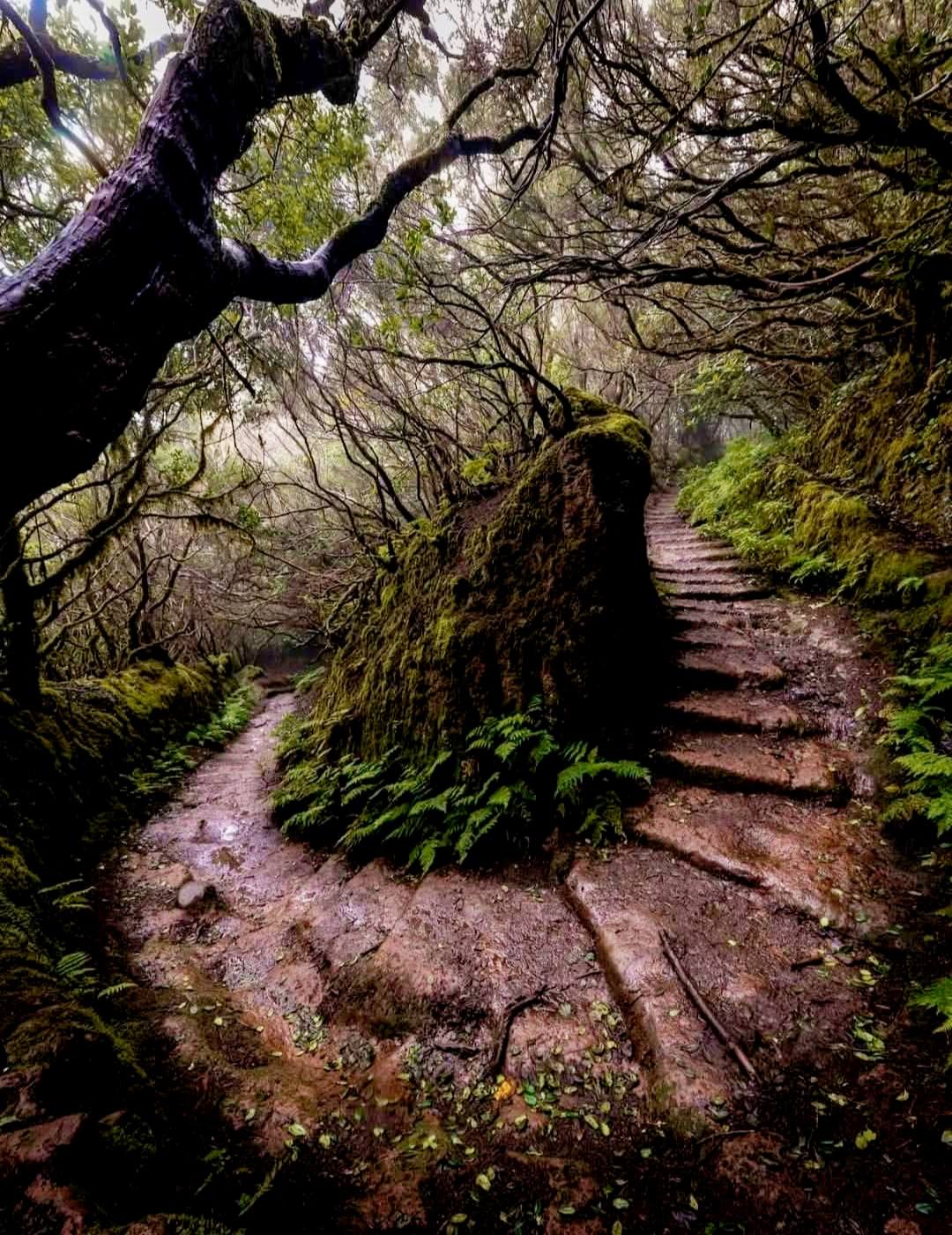  post thumbnail image