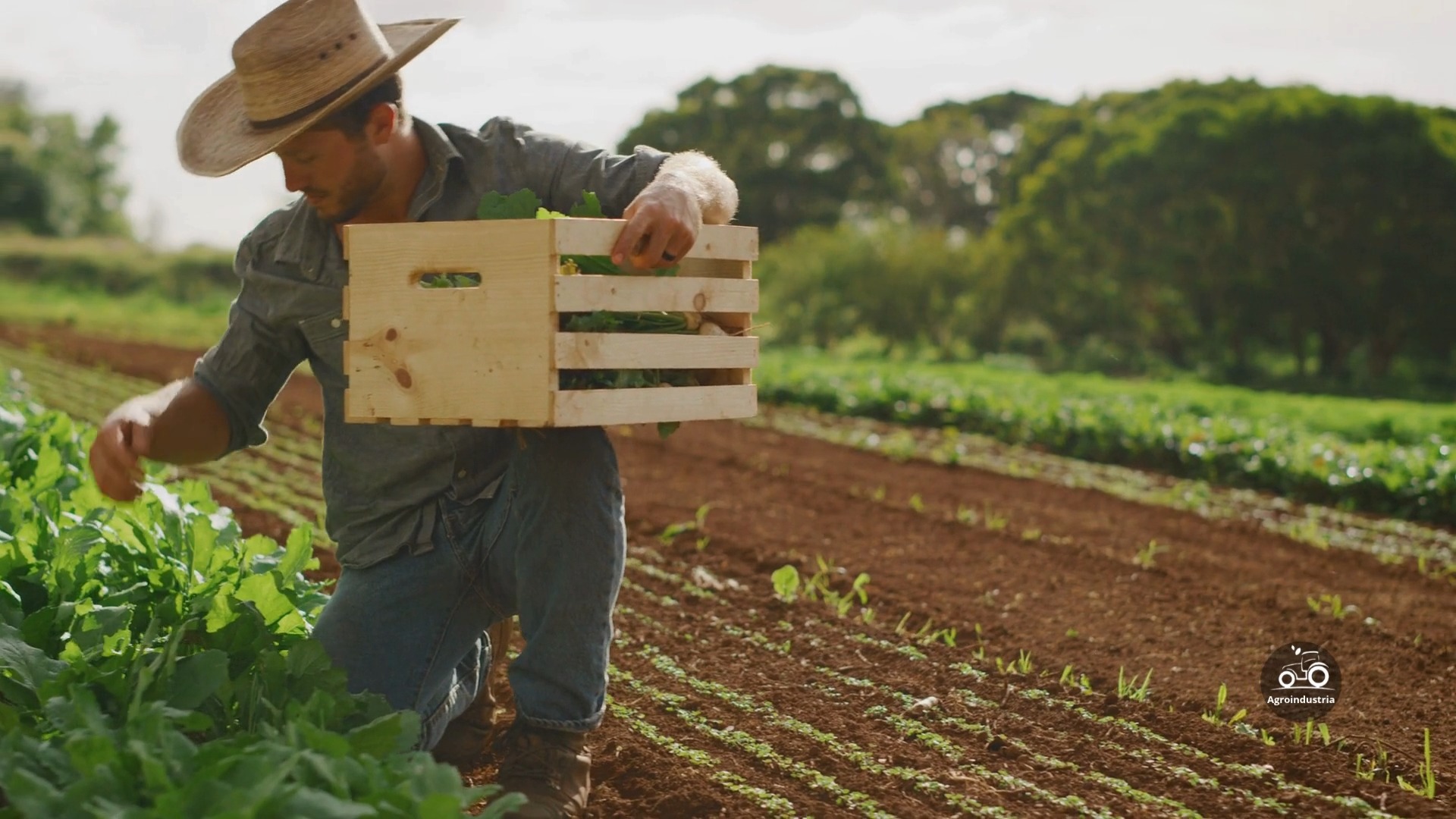  post thumbnail image