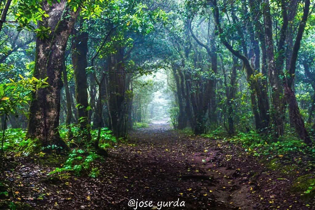  post thumbnail image