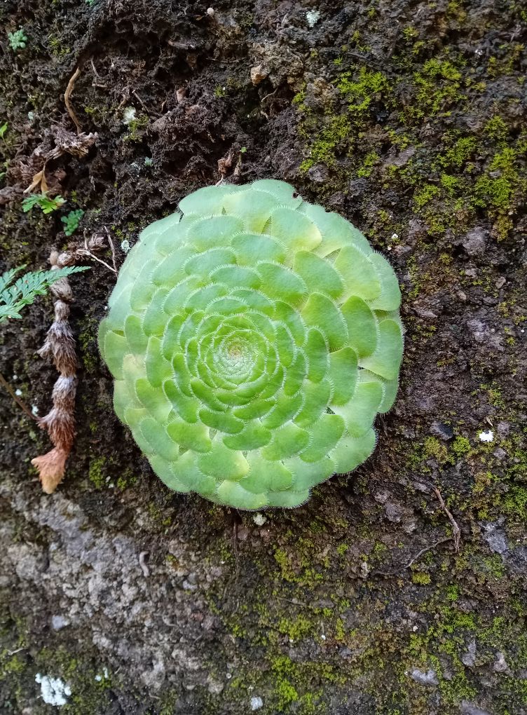  post thumbnail image