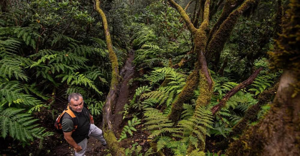  post thumbnail image