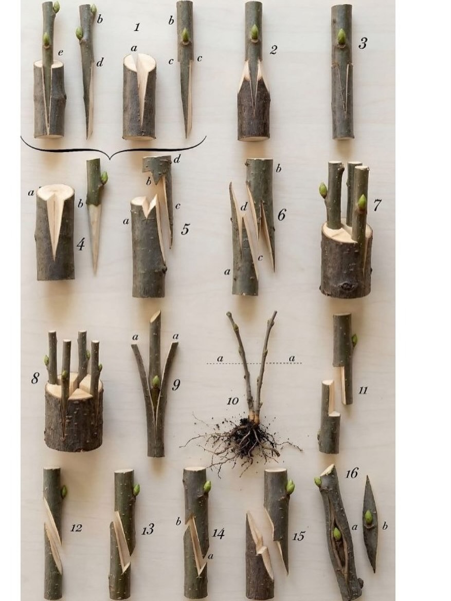  post thumbnail image