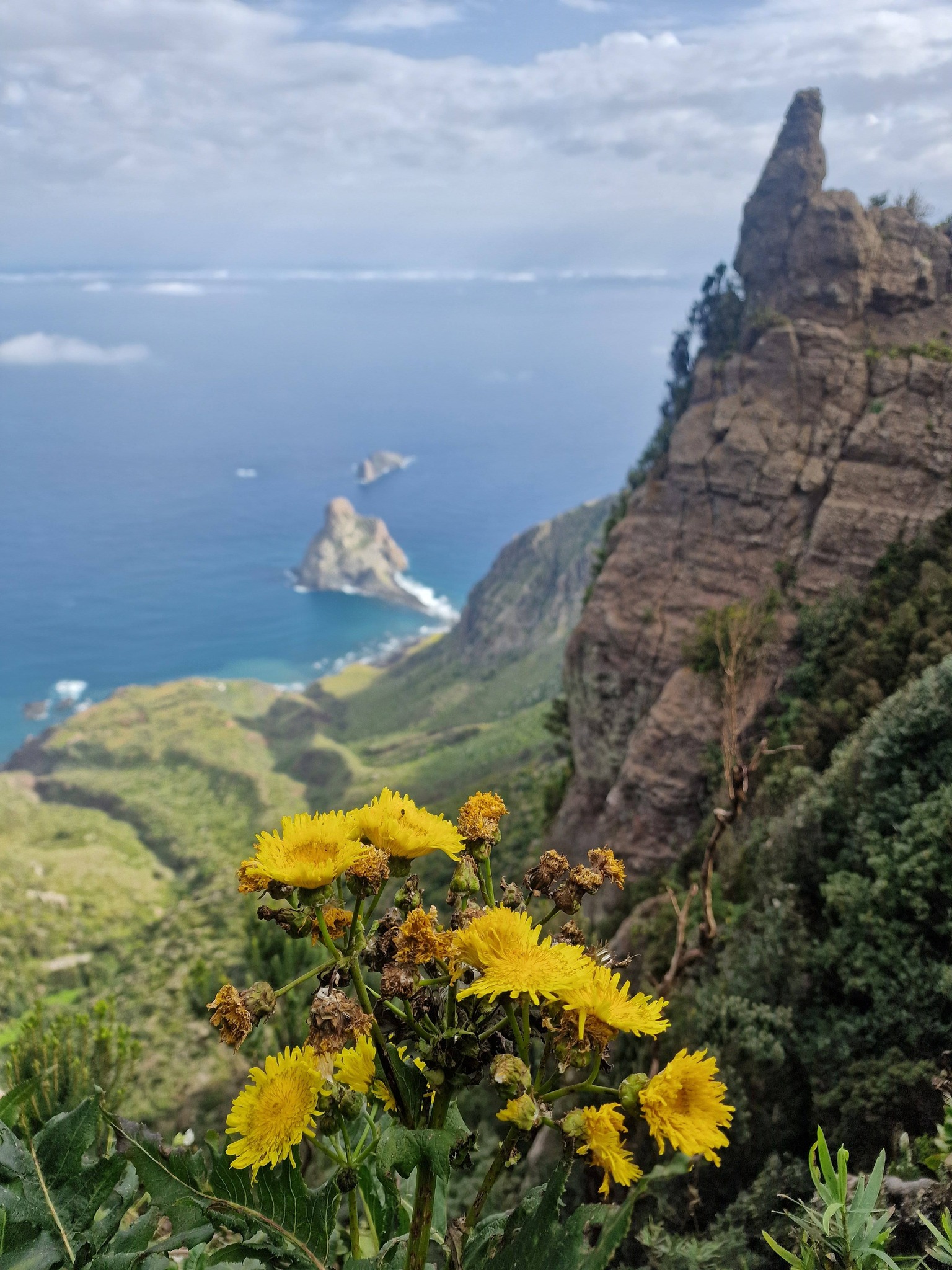  post thumbnail image