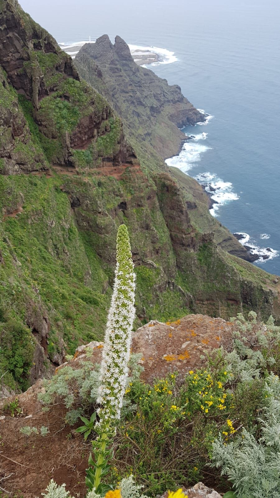  post thumbnail image