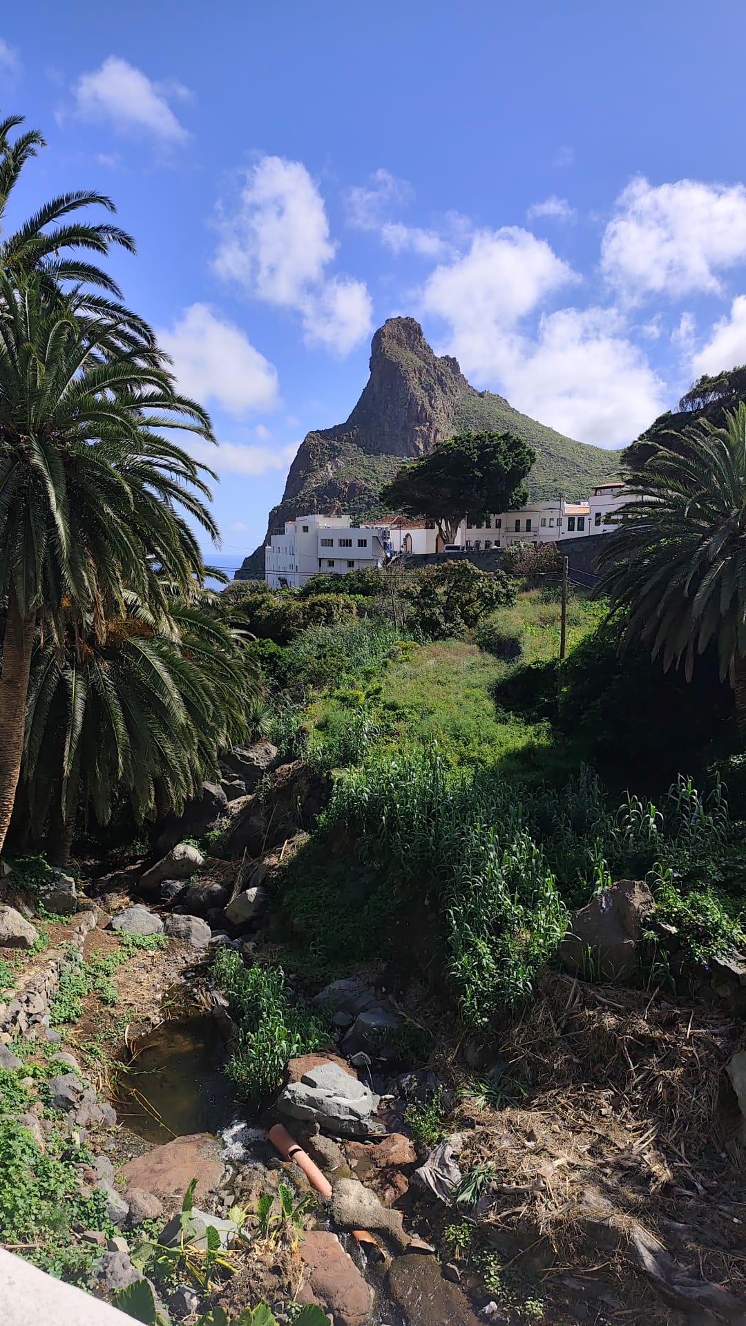  post thumbnail image