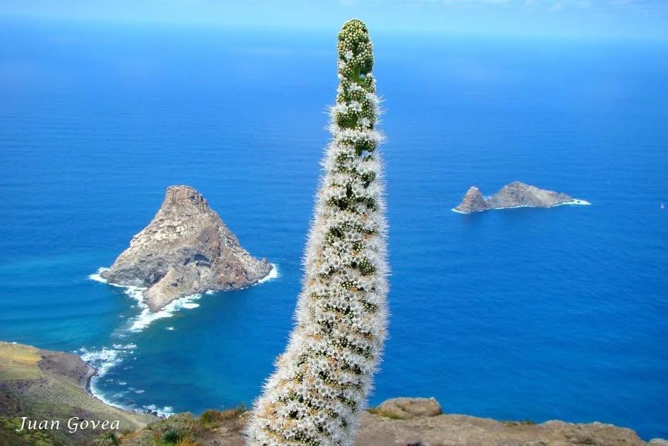  post thumbnail image