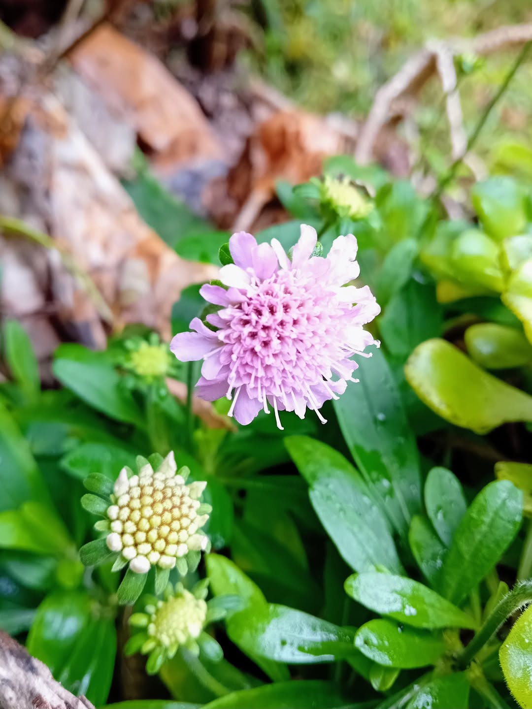  post thumbnail image