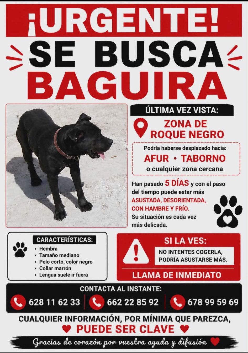  post thumbnail image