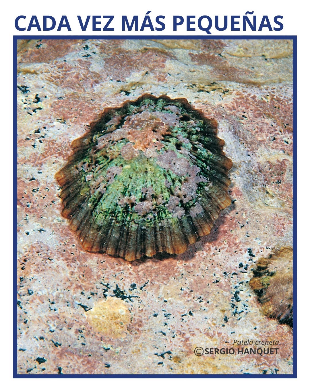  post thumbnail image