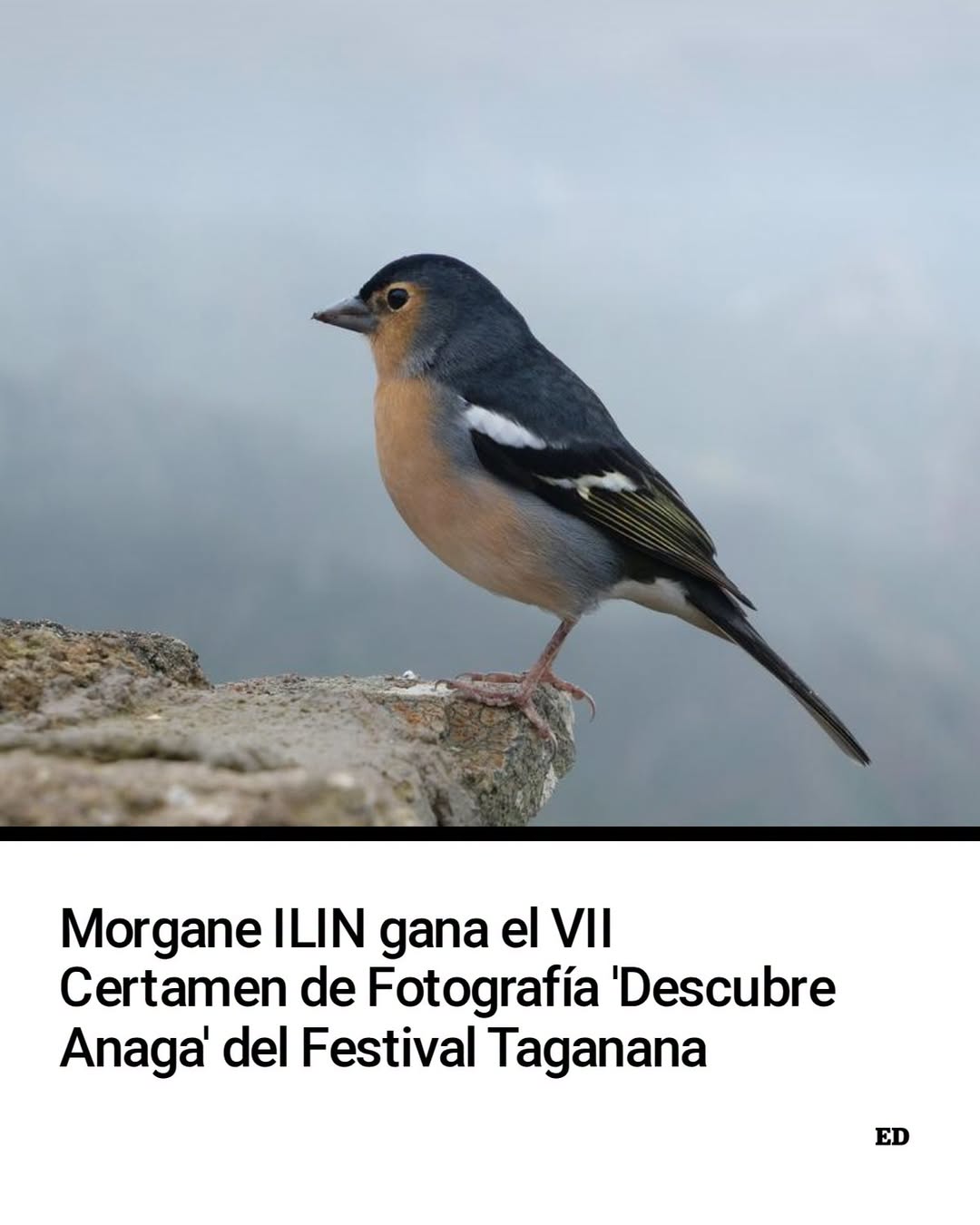  post thumbnail image